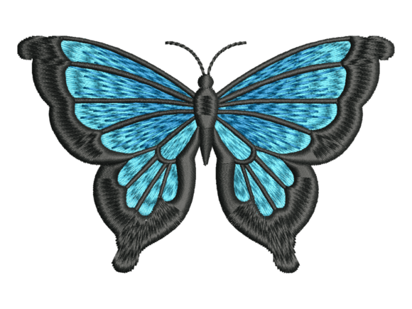 Black Blue Butterfly Embroidery: A Designer’s Review